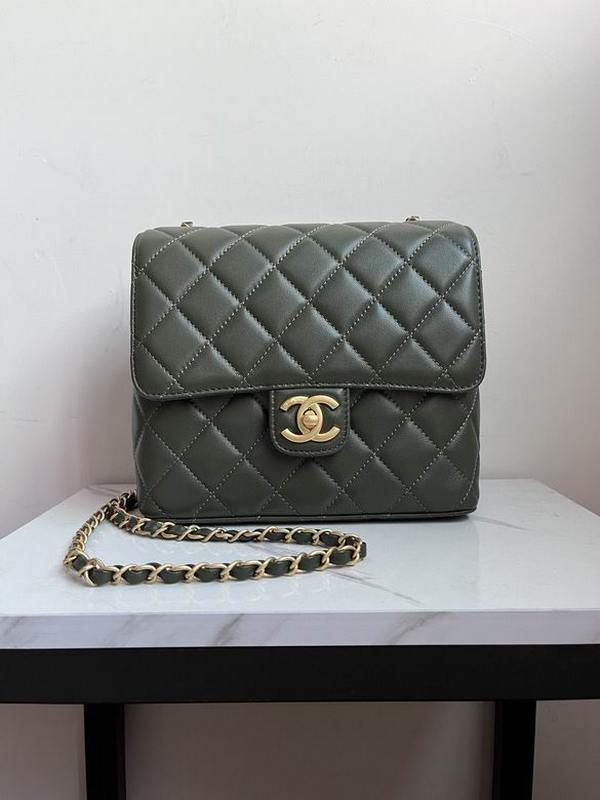 Chanel Handbags 216